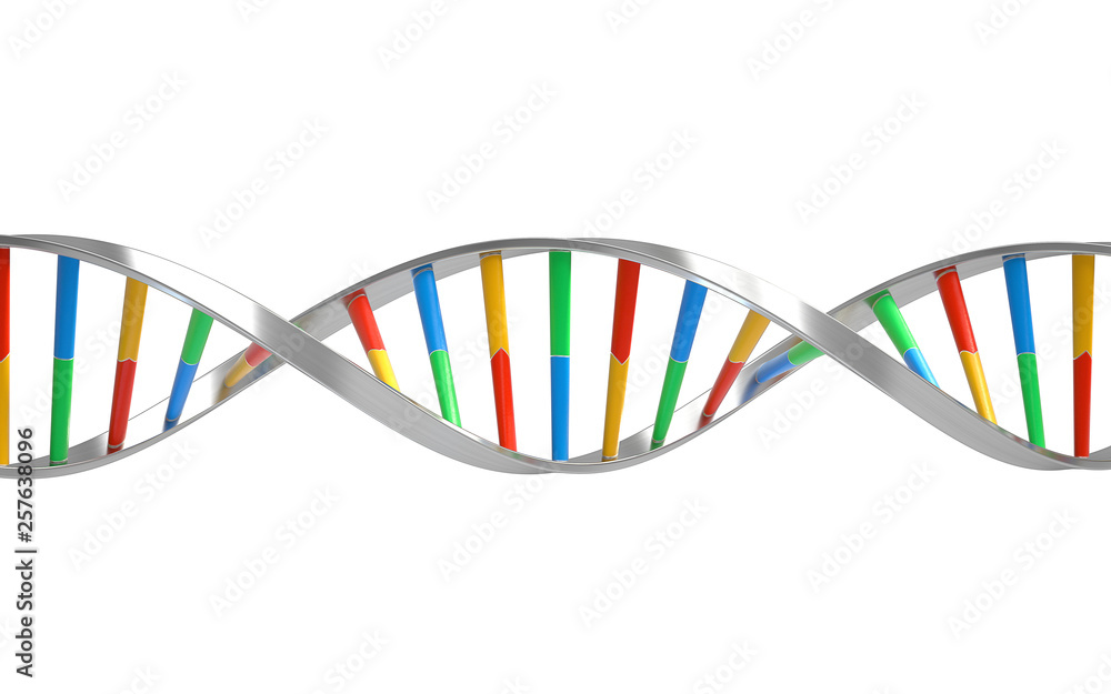 DNA molecules, structure of the genetic code, 3d rendering,conceptual image. DNA molecules, structure of the genetic code, 3d rendering,conceptual image.