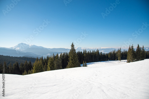 Beautiful winter panoramic view of snow capped mountains © plysuikvv