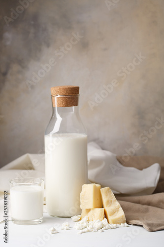 composition of dairy products on a light background. cottage cheese  cheese and milk