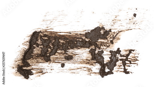 Mud splatter isolated on white background, with clipping path