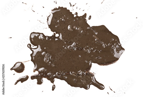 Canvas Print Mud splatter isolated on white background, with clipping path