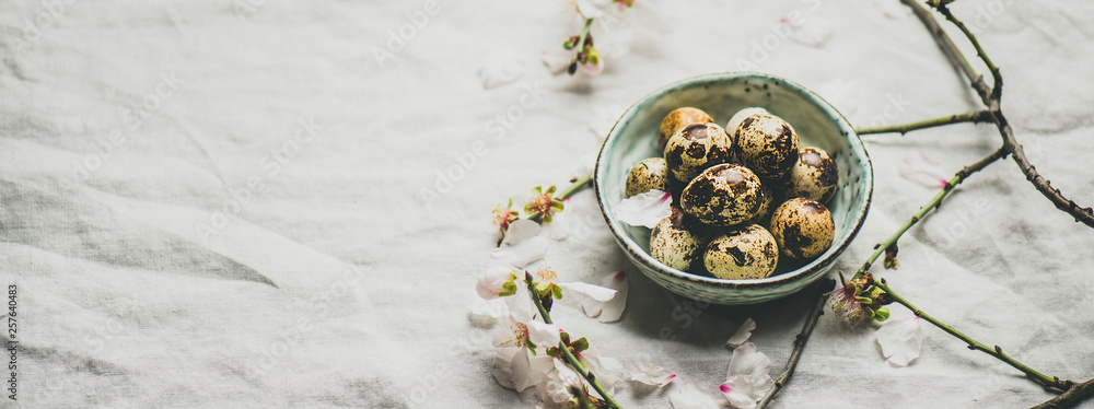 Easter holiday Spring mood with quail eggs in blue ceramic bowl and blooming branches of almond tree with white flowers over light gray linen tablecloth, copy space, wide composition