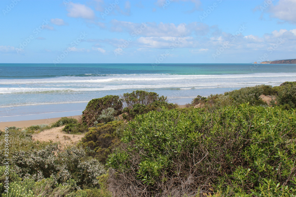 Littoral along the Great Ocean Road (Australia)