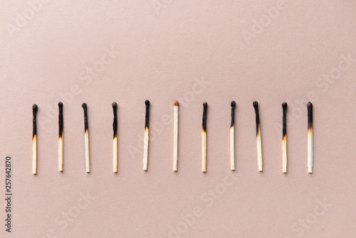 One unburnt match among burnt ones on light background. Concept of uniqueness