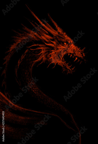 Canvas Print Fierce dragon