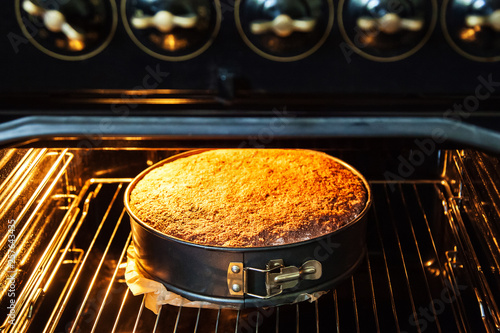 Homemade cake is prepared and baked in a special form for baking in an electric oven in the kitchen. View of the finished cake with the oven door open.