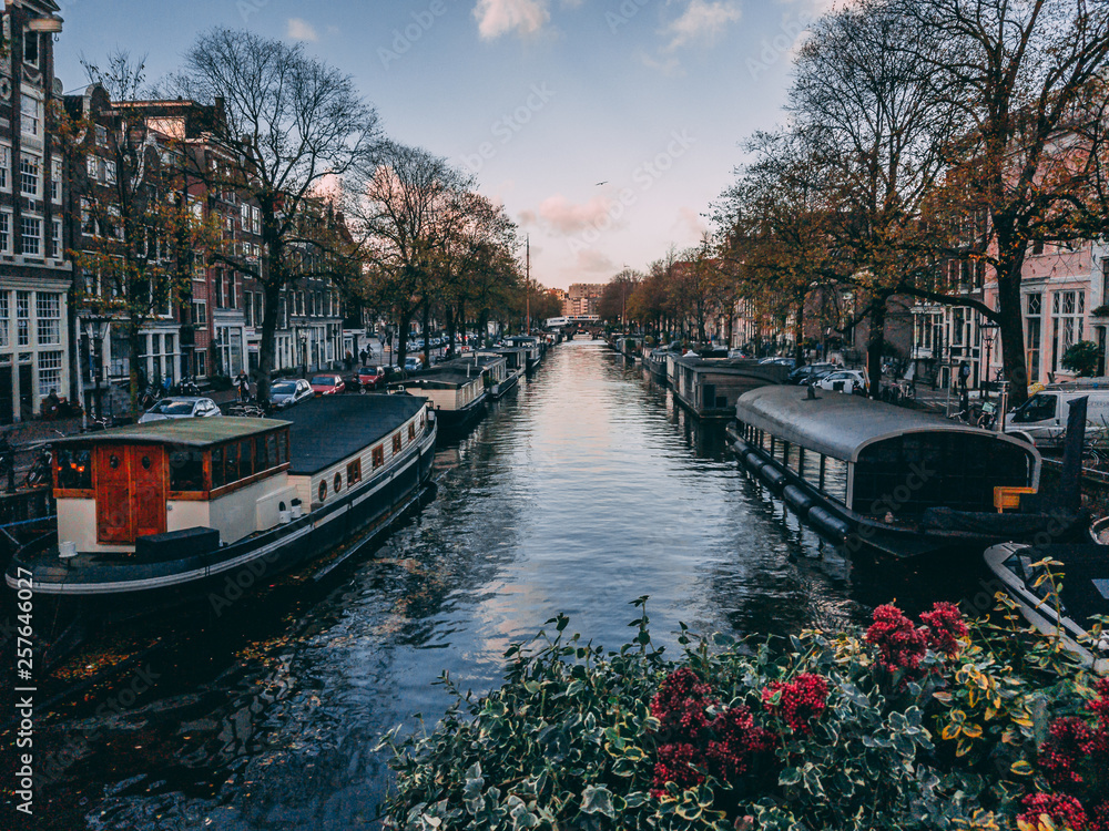 Naklejka premium canal in amsterdam