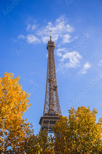 eiffel tower in paris © Elcio