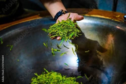 Method of Making West Lake Longjing Tea