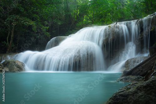 Fototapeta Naklejka Na Ścianę i Meble -  waterfall in jungle