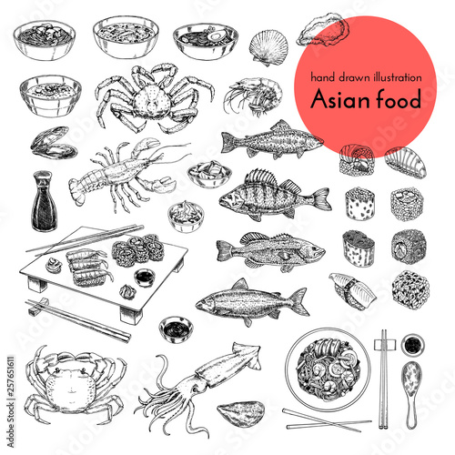 illustration set of asian food. vector sketch with hands drawn traditional japanese food sushi