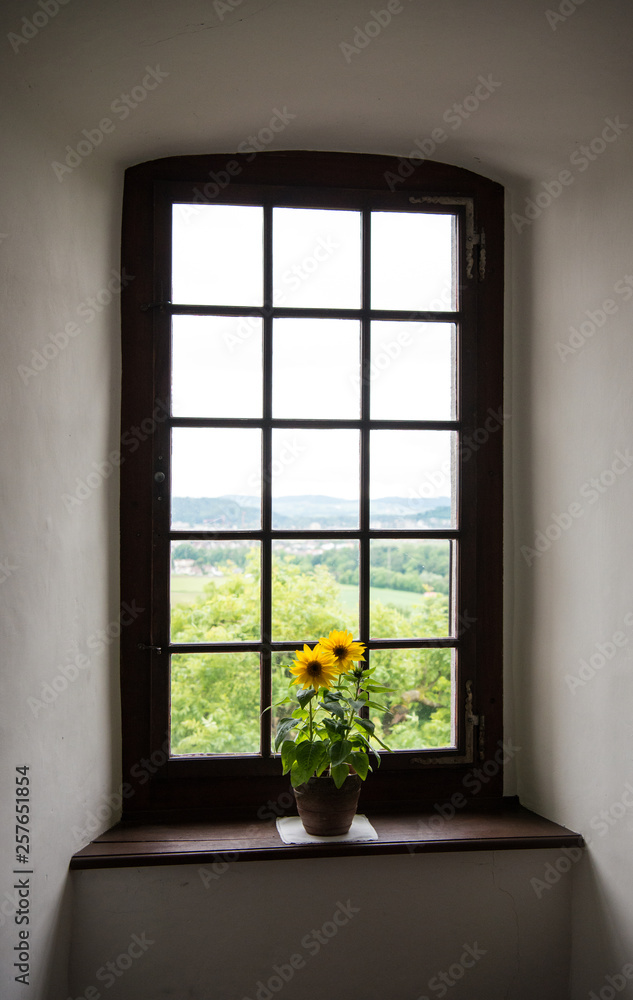 Fototapeta premium Sonnenblumen im Fenster