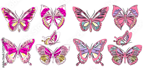 beautiful pink butterflies  isolated  on a white