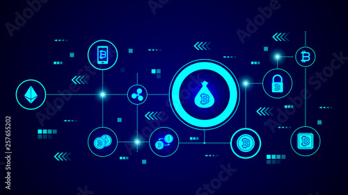 bitcoin in a bag icon. From crypto set