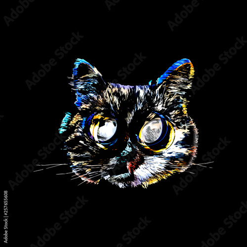 abstract cat portrait