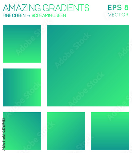 Colorful gradients in pine green, screamin green color tones. Adorable gradient background, exceptional vector illustration. photo