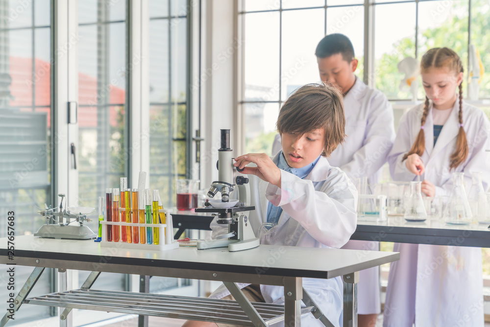 Obraz premium kids with test tubes studying chemistry