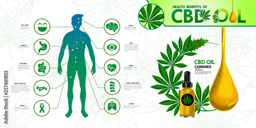 Cannabis benefits for health vector illustration.