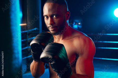 Serious muscular man on the ring, looking in camera. Studio shot, red and blue light. © monchak