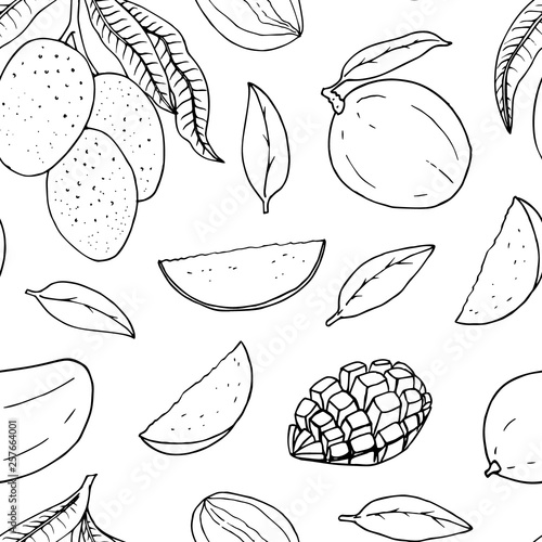 Seamless pattern with mango. Vector line drawing