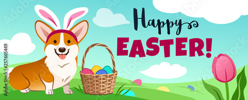 Cute corgi dog in Easter bunny costume sits in green field, basket full of candy eggs, eggs hidden in grass, vector cartoon illustration, text "Happy Easter!"  Spring, pets, egg hunt kids party theme.