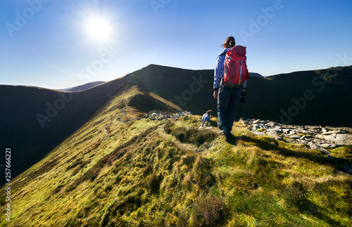 Obraz na płótnie A hiker and their dog walking up towards Ladyside Pike and Hopegill Head on a sunny day in the English Lake District, UK. w salonie