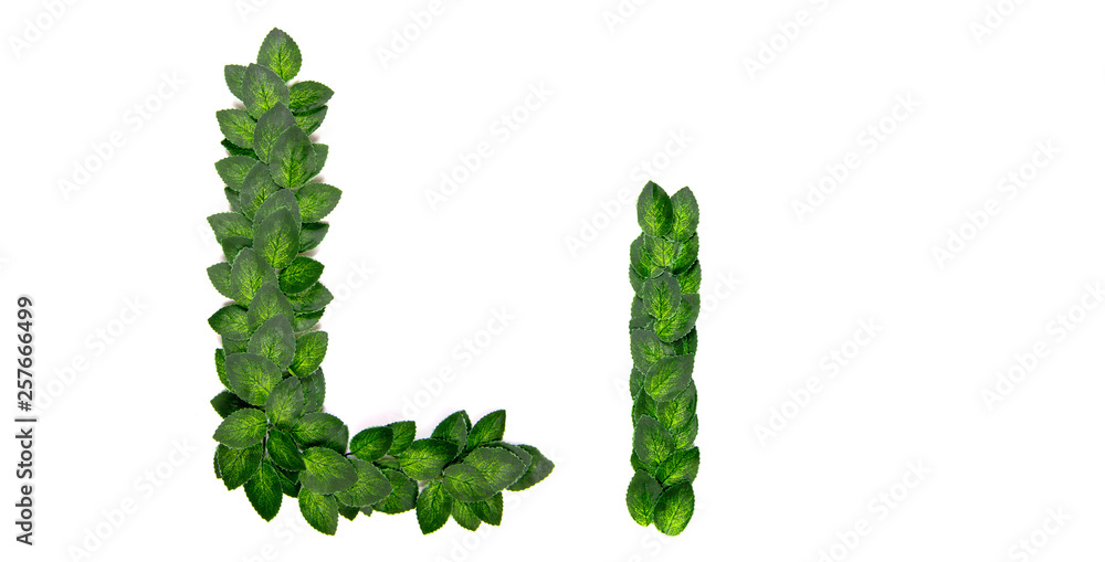 Letter L, English alphabet, made of green spring leaves. Isolated on white background. Concept: design, logo, word, text, title Letter L, English alphabet, made of green spring leaves. Isolated on white background. Concept: design, logo, word, text, title