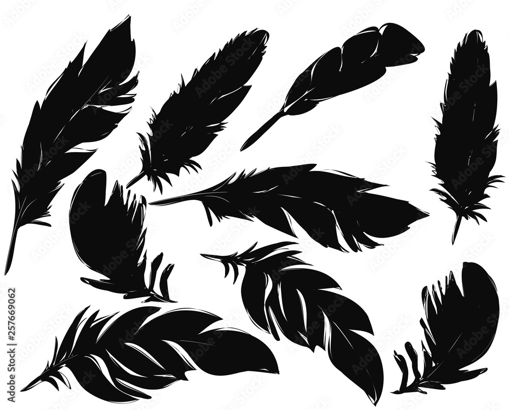 feathers silhouettes set feathers silhouettes set