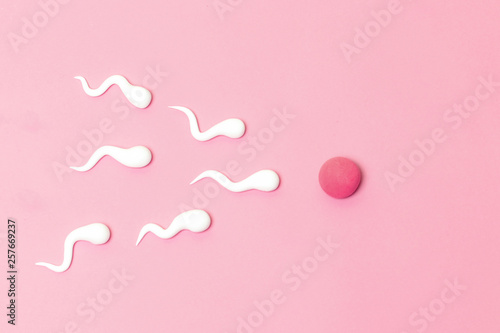 The figure of human sperm and human egg photo