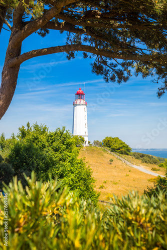 Obraz na płótnie Lighthouse Dornbusch on the island Hiddensee, Ostsee, Germany w salonie