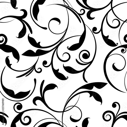 Black and white elegant flo...