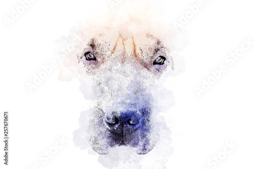 Tablou pe pânză Watercolor illustration