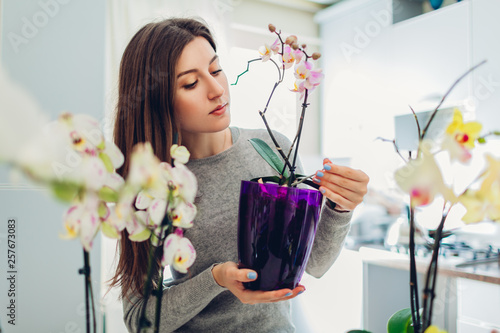 Woman checking her orchids on kitchen. Housewife taking care of home plants and flowers.