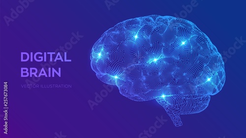 Brain. Digital brain. 3D Science and Technology concept. Neural network. IQ testing, artificial intelligence virtual emulation science technology. Brainstorm think idea. Vector illustration.