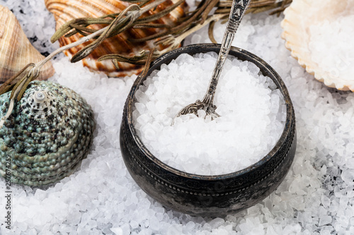 salt cellar with spoon, shells and coarse Sea Salt