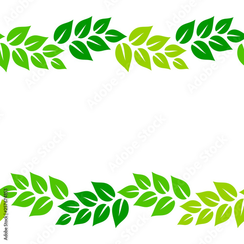 Fresh green leaves on white...