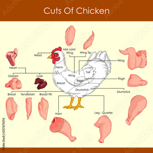 easy to edit vector illustration of different cuts of Chicken