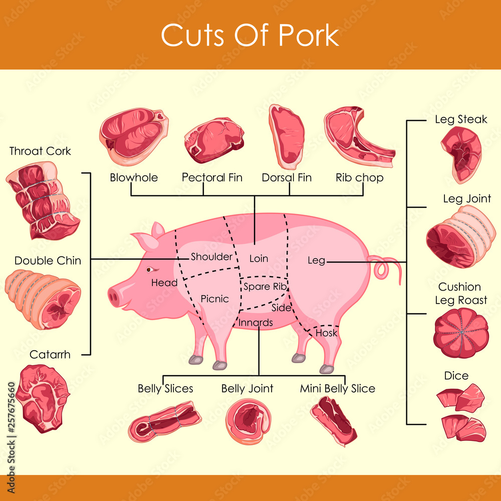 easy to edit vector illustration of different cuts of Pork Stock Vector