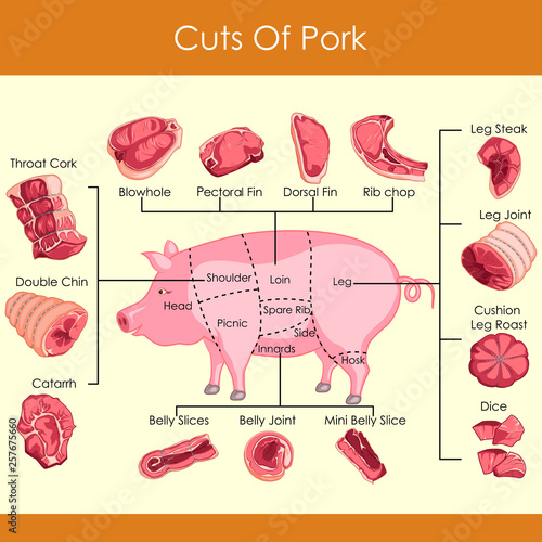 easy to edit vector illustration of different cuts of Pork