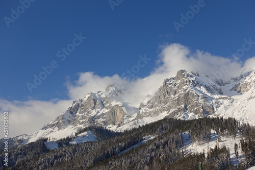 Winterwald in der Ramsau am Dachstein