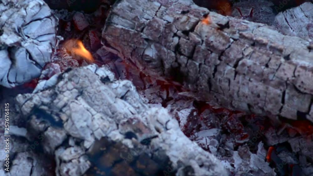 Burning coals from logs on the fire. The wind blows the burning fire Burning coals from logs on the fire. The wind blows the burning fire