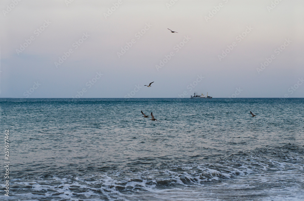 Landscape of seashore with ship on a horizon and seagulls in a sky Landscape of seashore with ship on a horizon and seagulls in a sky
