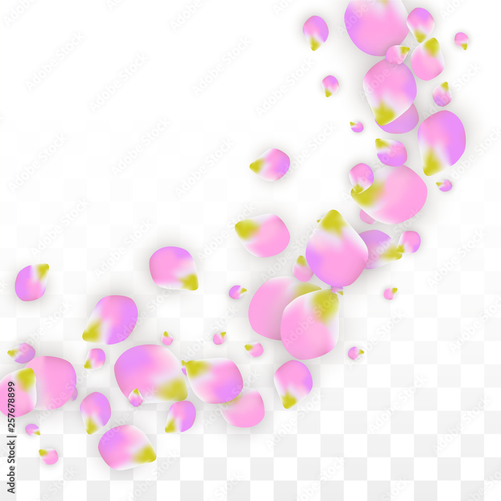 Vector Realistic Pink Petals Falling on Transparent Background. Spring Romantic Flowers Illustration. Flying Petals. Sakura Spa Design. Blossom Confetti. Vector Realistic Pink Petals Falling on Transparent Background. Spring Romantic Flowers Illustration. Flying Petals. Sakura Spa Design. Blossom Confetti.