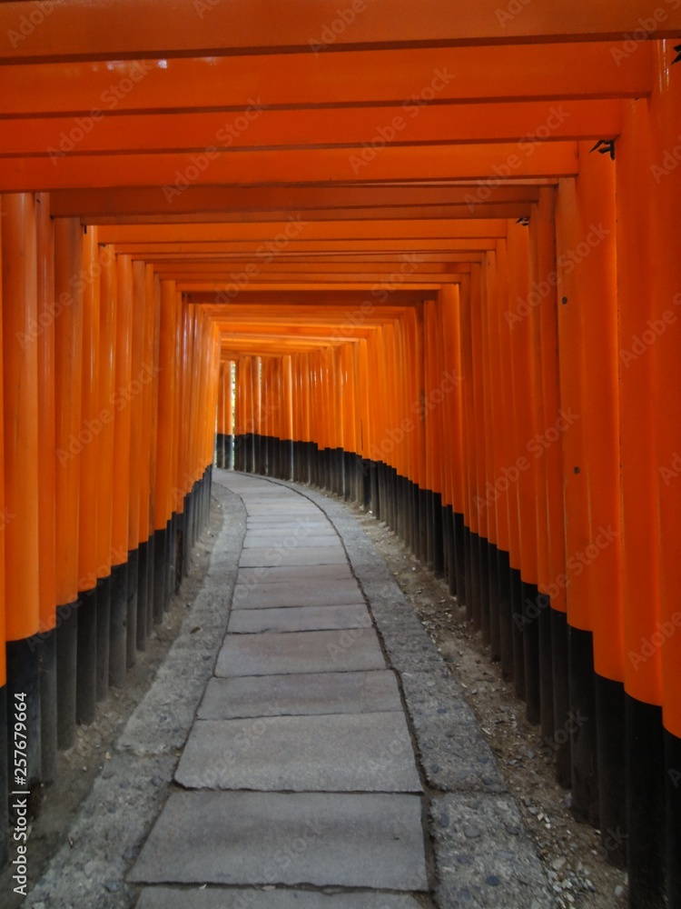 Fototapeta premium Świątynia Kyoto Fushimi Inari