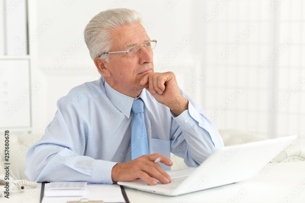Confident senior businessman working in the office Confident senior businessman working in the office