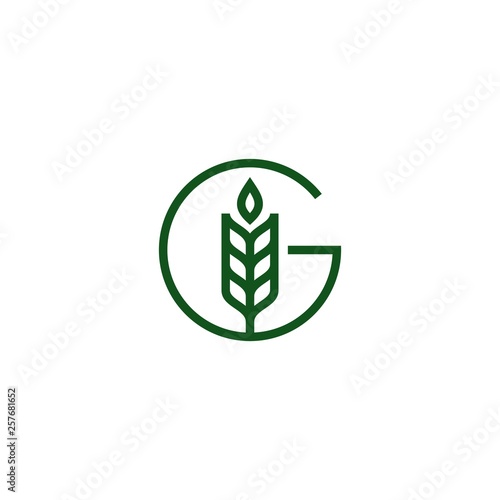 g letter wheat grain logo vector icon illustration