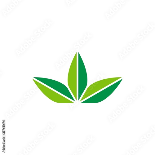 three leaves logo vector icon illustration