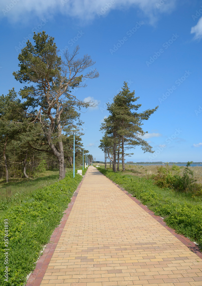 Promenadenweg an der Ostsee am Strand von Juliusruh,Insel Rügen,Mecklenburg-Vorpommern,Deutschland