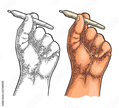 Male hand holding cigarettes with marijuana. Engraving vintage