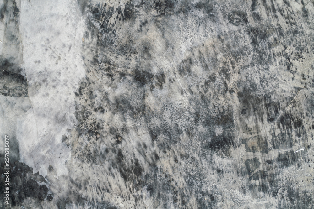 Fototapeta premium Cement polish art texture